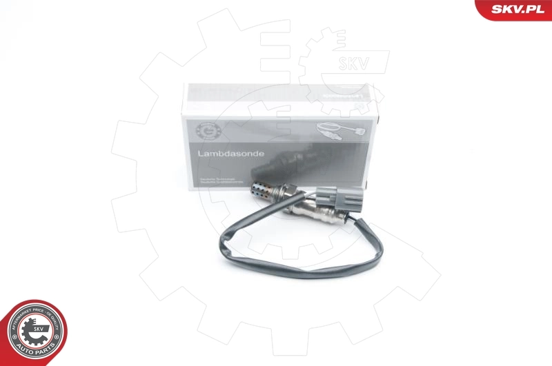 Oxygen Sensor